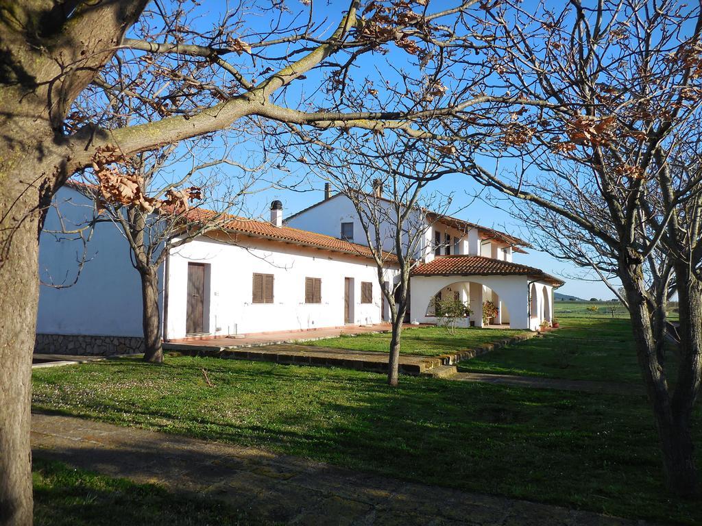 Azienda Il Tizzano Албиния Экстерьер фото